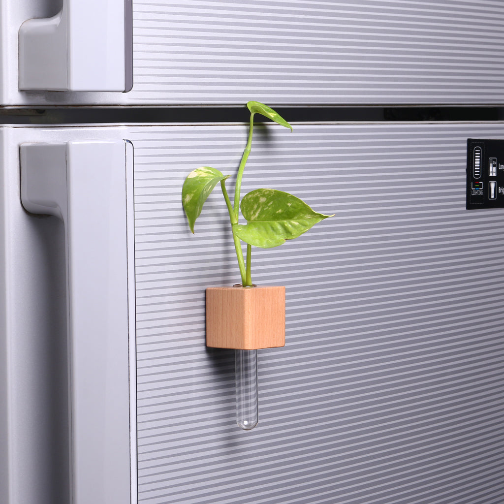 Wooden Planter Fridge Magnets