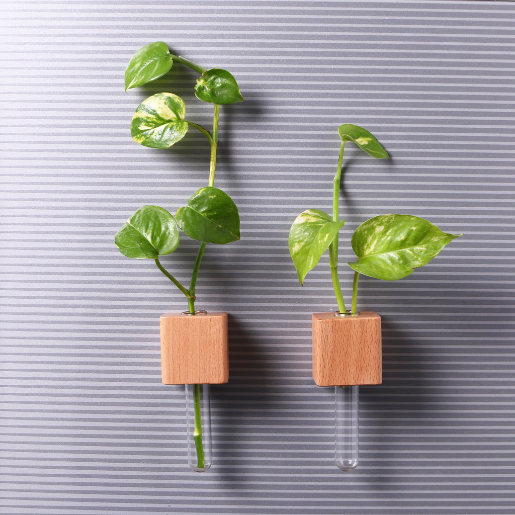 Wooden Planter Fridge Magnets