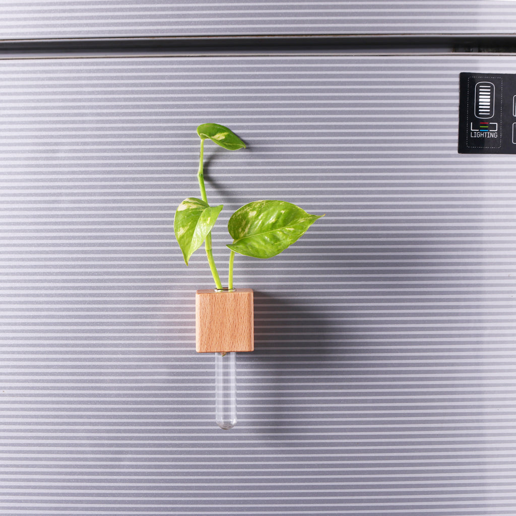 Wooden Planter Fridge Magnets