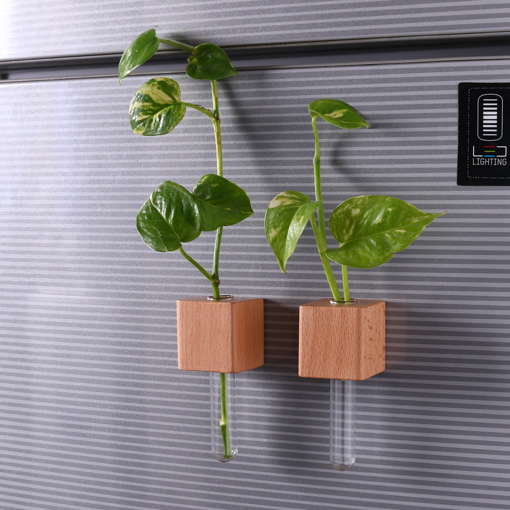 Wooden Planter Fridge Magnets