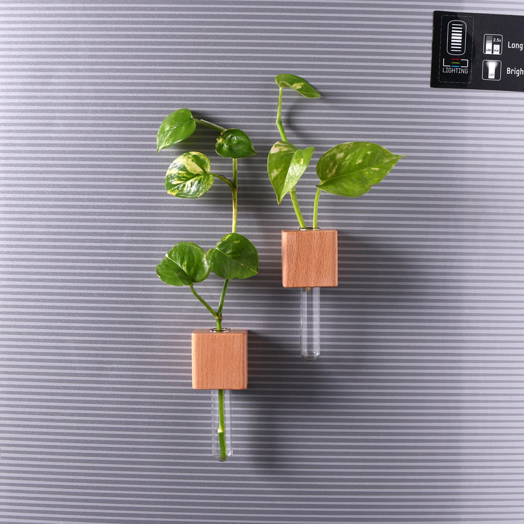 Wooden Planter Fridge Magnets