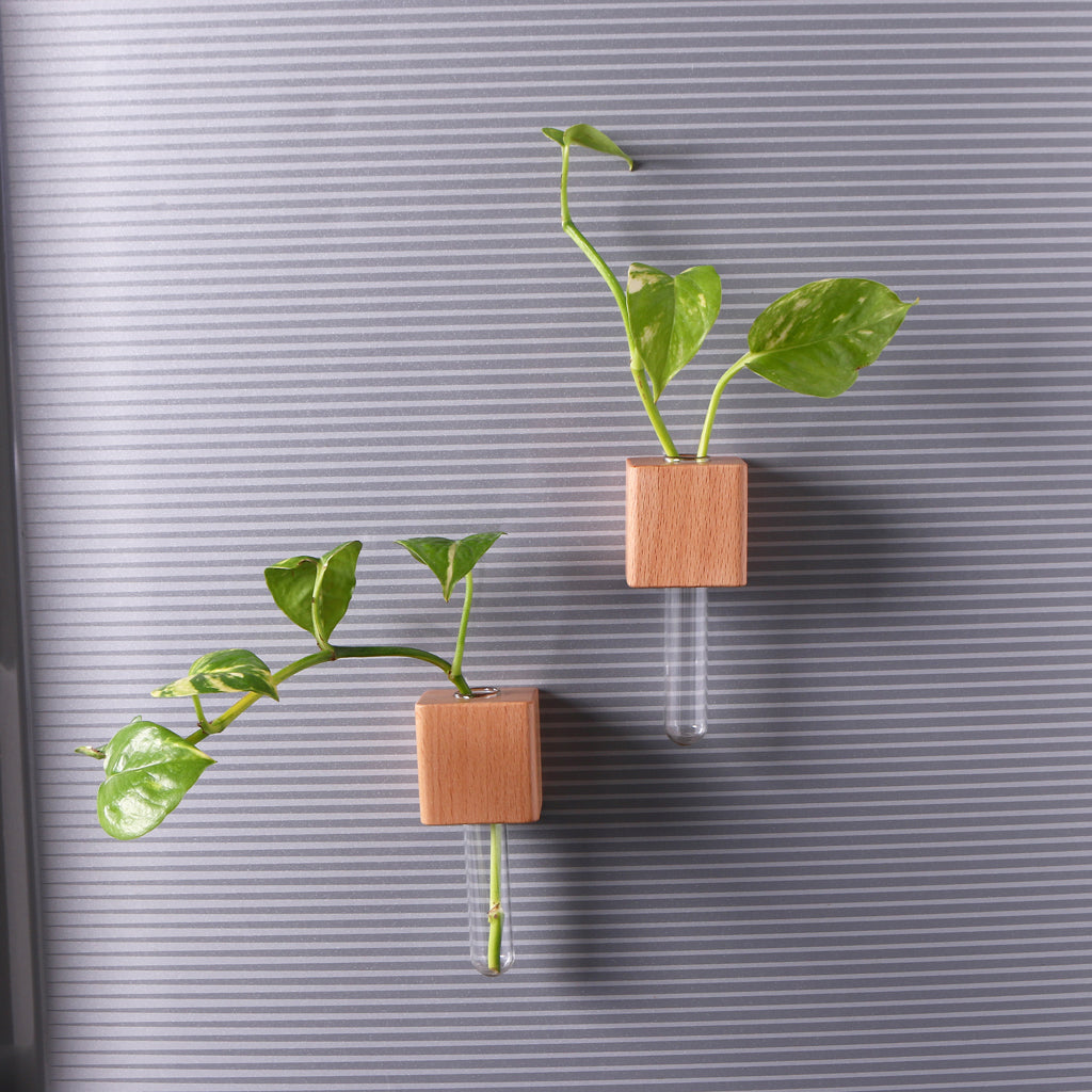 Wooden Planter Fridge Magnets