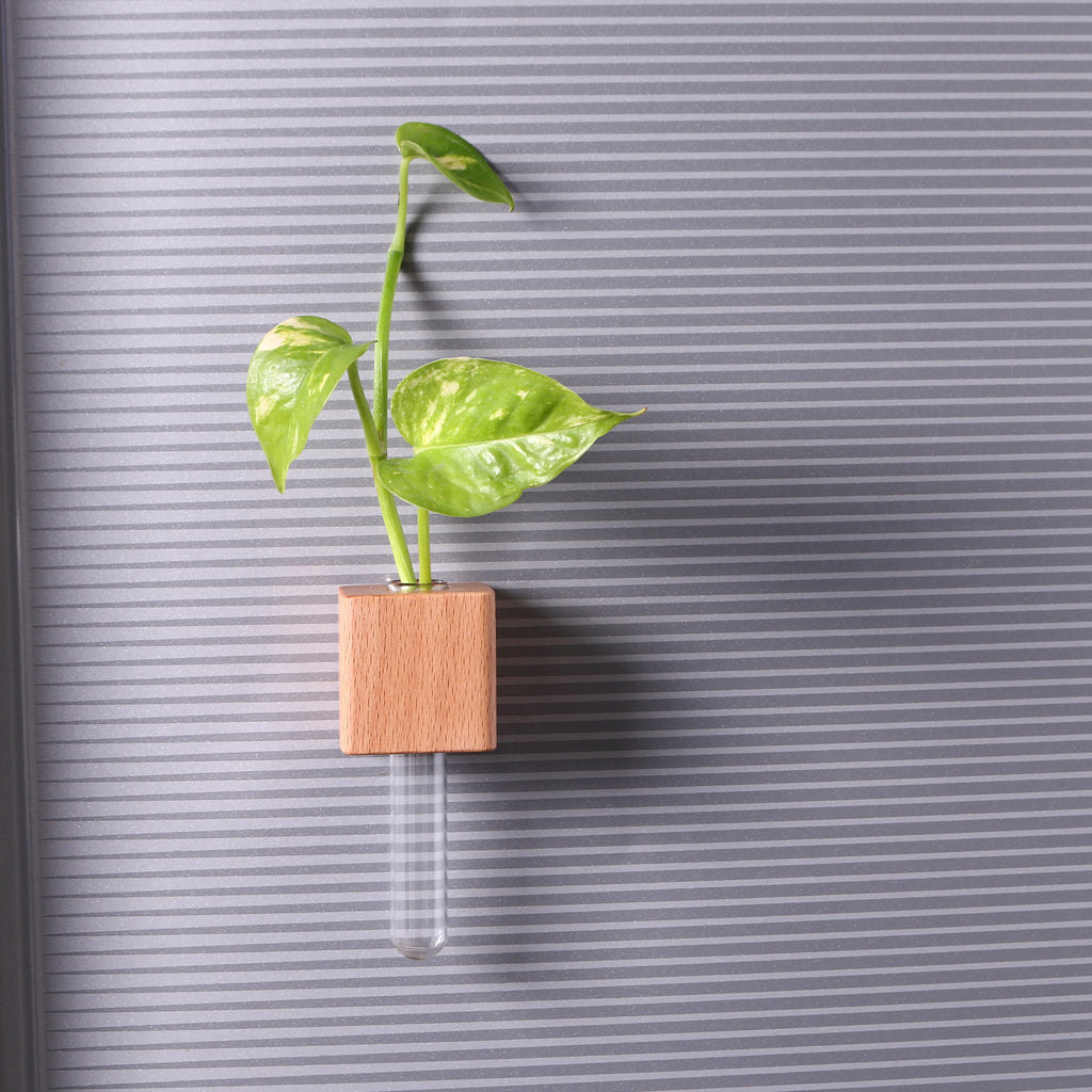 Wooden Planter Fridge Magnets