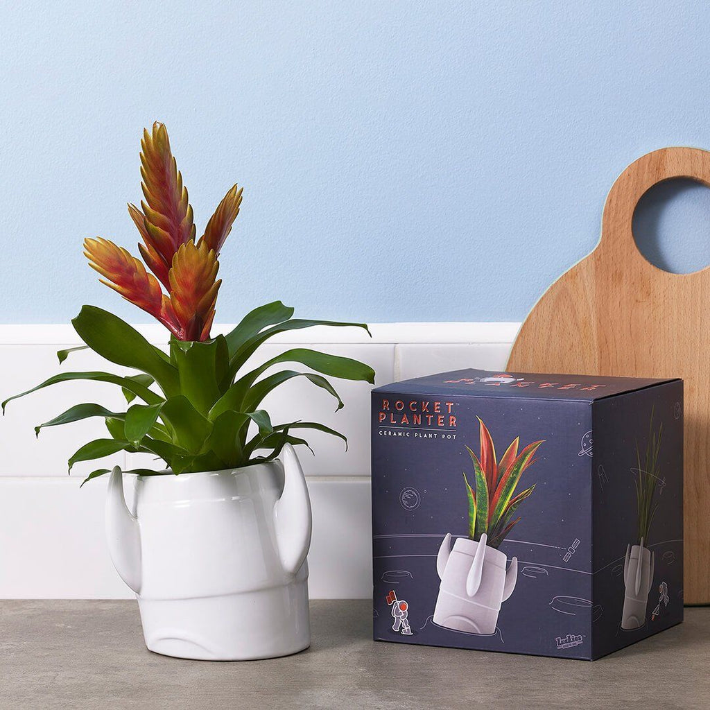Rocket Planter